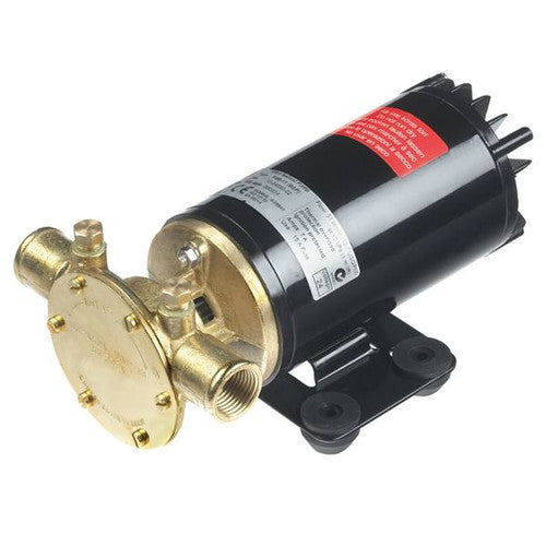 Johnson Pump Talulah Ballast Pump, 13.5 GPM, 12V DC, Model 10-24690-18