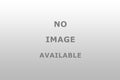 Taylor Made Dock Bumper 348, 60 Inch Large Straight Hull-Saver Fender, White