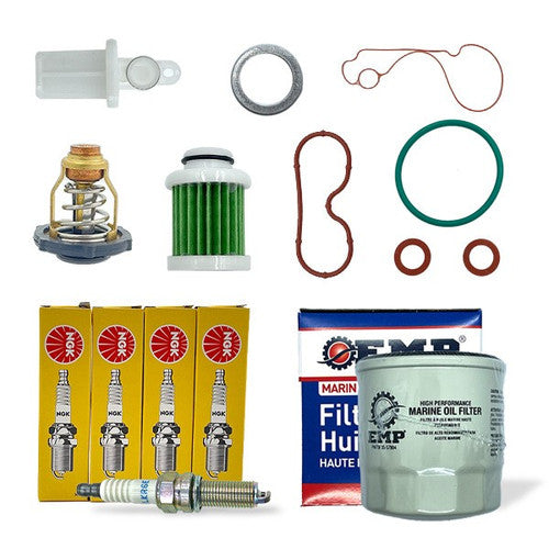 EMP 100 Hour Basic Service Kit - Part 92-92504