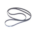 Sierra Serpentine Belt 18-15101, Replaces 57-8638764, Mercruiser Stern Drive, 76.5 x 13/16 Inch