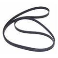 Sierra Serpentine Belt 57-865615007 for MerCruiser 8.2L MPI MIE 1998-01