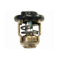Sierra Thermostat 18-3540, Replaces Yamaha 6E5-12411-30-00, Fits T60 and T9.9 Outboards