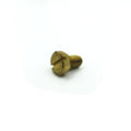 Johnson Pump 0.0141.502 Brass Cover Plate Screw for F5, F6, F7 Raw Water Pump Cover Plates