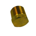 Sierra 18-4263 Brass Pipe Plug, 1/8 inch NPT, Replaces Mercury 22-328021
